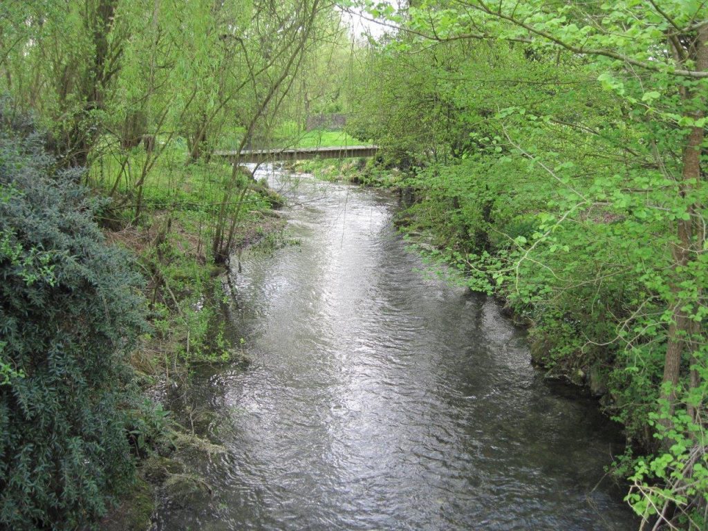 Wiltshire Rivers Can our rivers survive? - CPRE Wiltshire