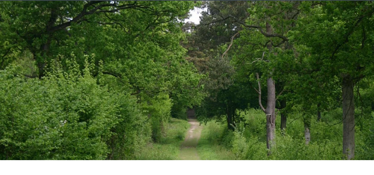 A walk near Malmesbury CPRE Wiltshire