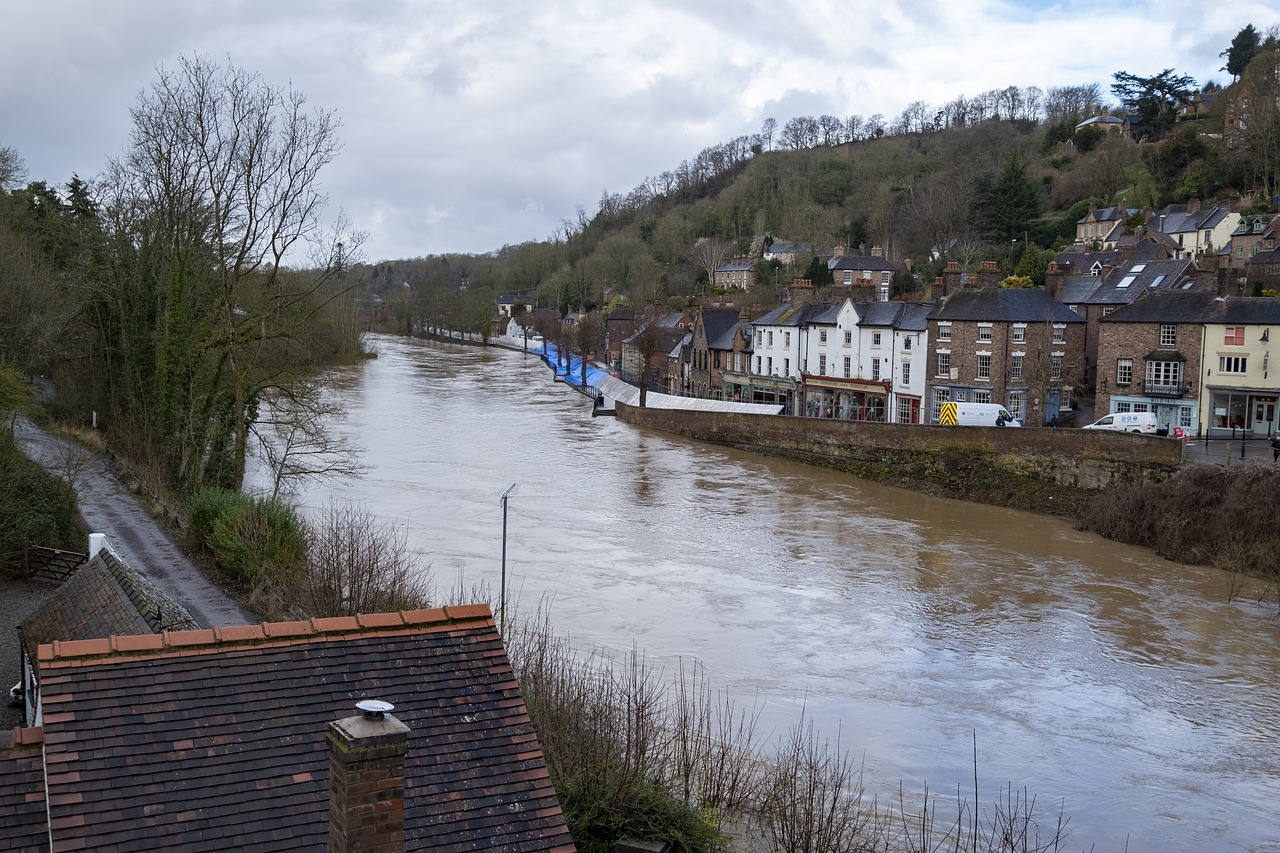 A river in flood