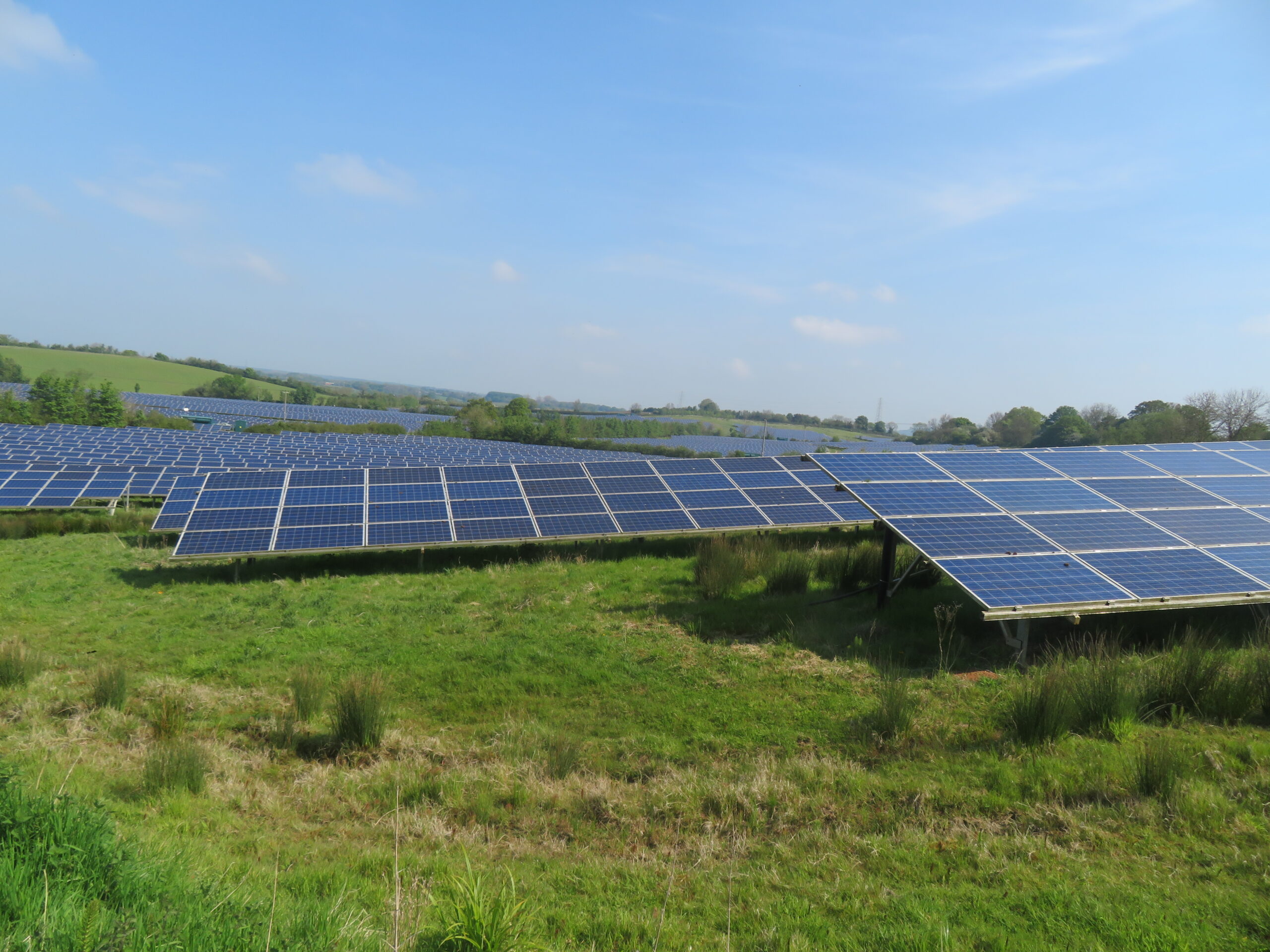 Photograph of a solar farm in Wiltshire