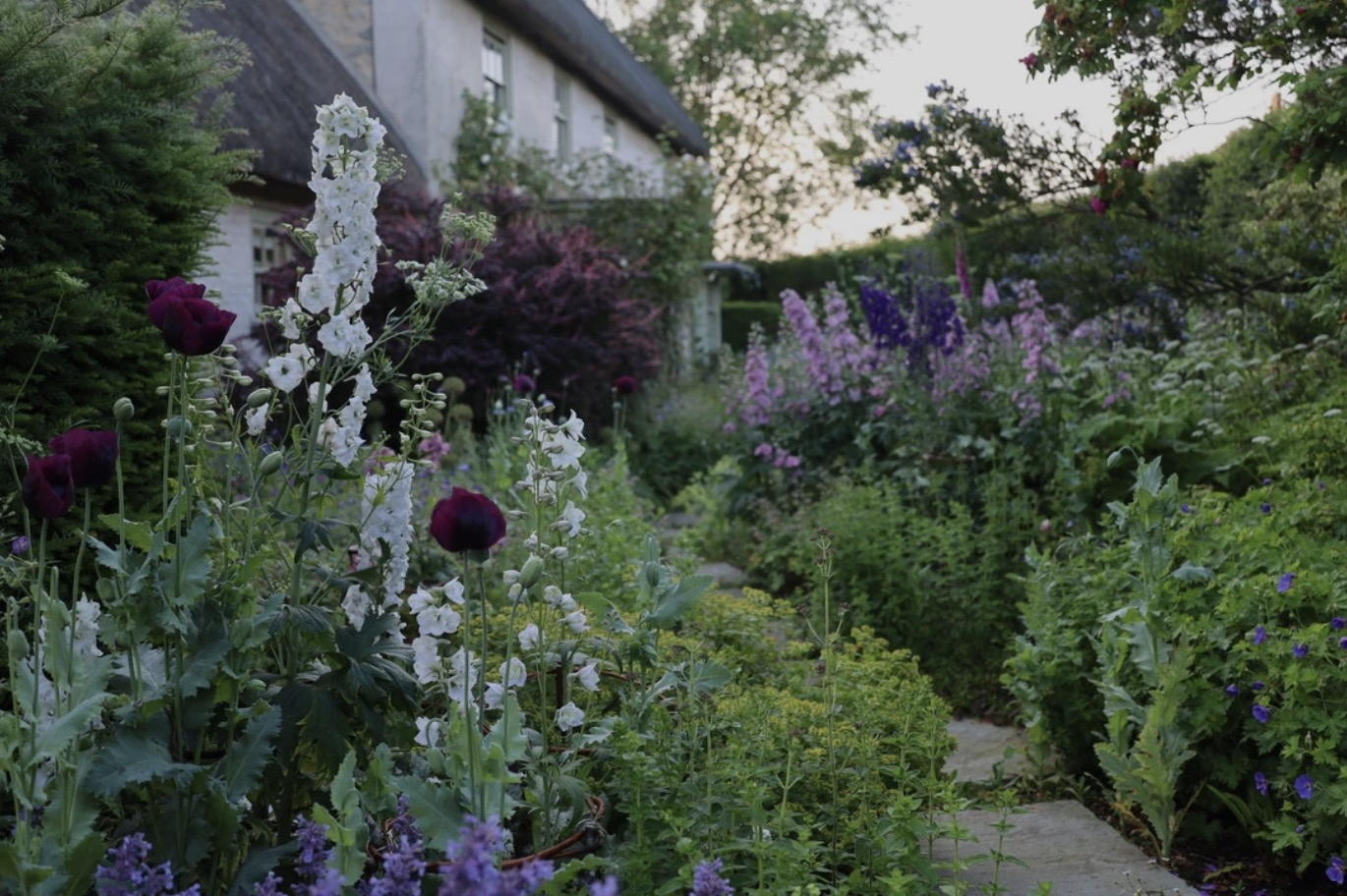 Photo of part of the garden at Gasper Cottage