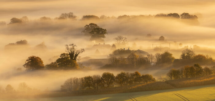 Hidden Dawn